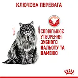 Сухий корм для запобігання зубному нальоту Royal Canin Dental Care 8 кг, фото 10