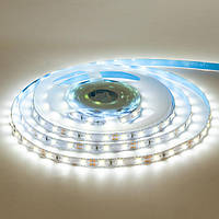 Світлодіодна LED стрічка Professional  8мм 14Вт/м 120 LED/м IP20 AVT-Prof-600СW3528-12 холодний білий (5м)