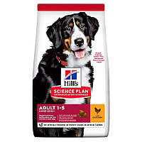 Hill’s SCIENCE PLAN Adult Large Breed Сухий корм для дорослих собак великих порід, з куркою, 14 кг Хилс