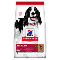 Hill’s SCIENCE PLAN Adult Medium Breed Сухий корм для дорослих собак серед.порід, з ягням і рисом, 2,5 кг Хилс