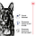 Корм для зрілих (старіючих) собак великих порід ROYAL CANIN MAXI AGEING 8+(від 8 років) 15 кг, фото 2