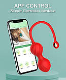 Вагінальні кульки SmartBall, фото 3