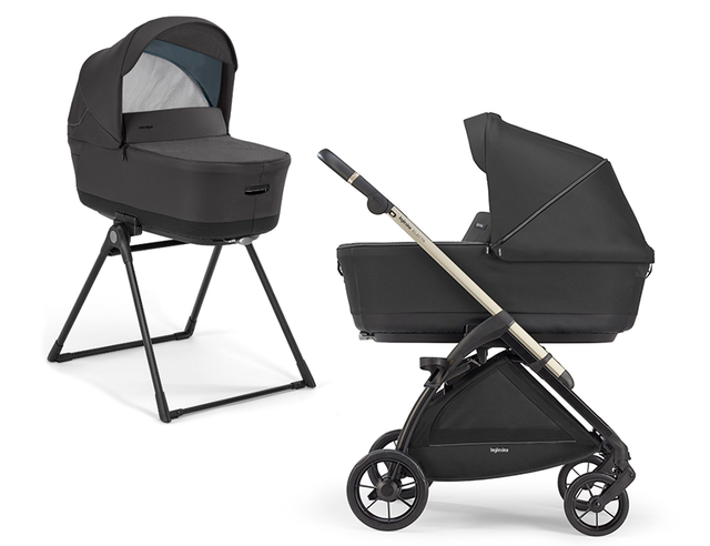 Коляска 4в1 Inglesina Electa с автокреслом Darwin Infant Recline 