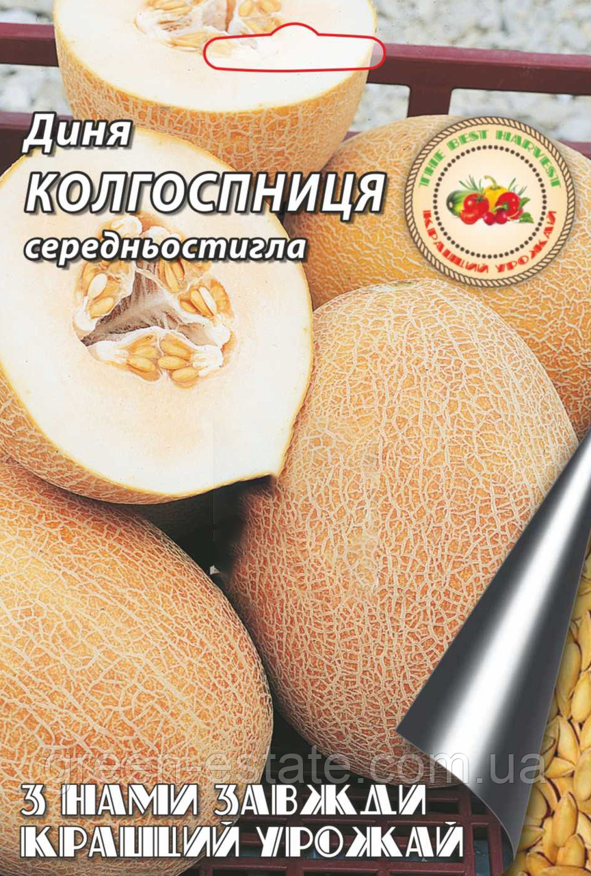 Диня Колгоспниця 10 г.