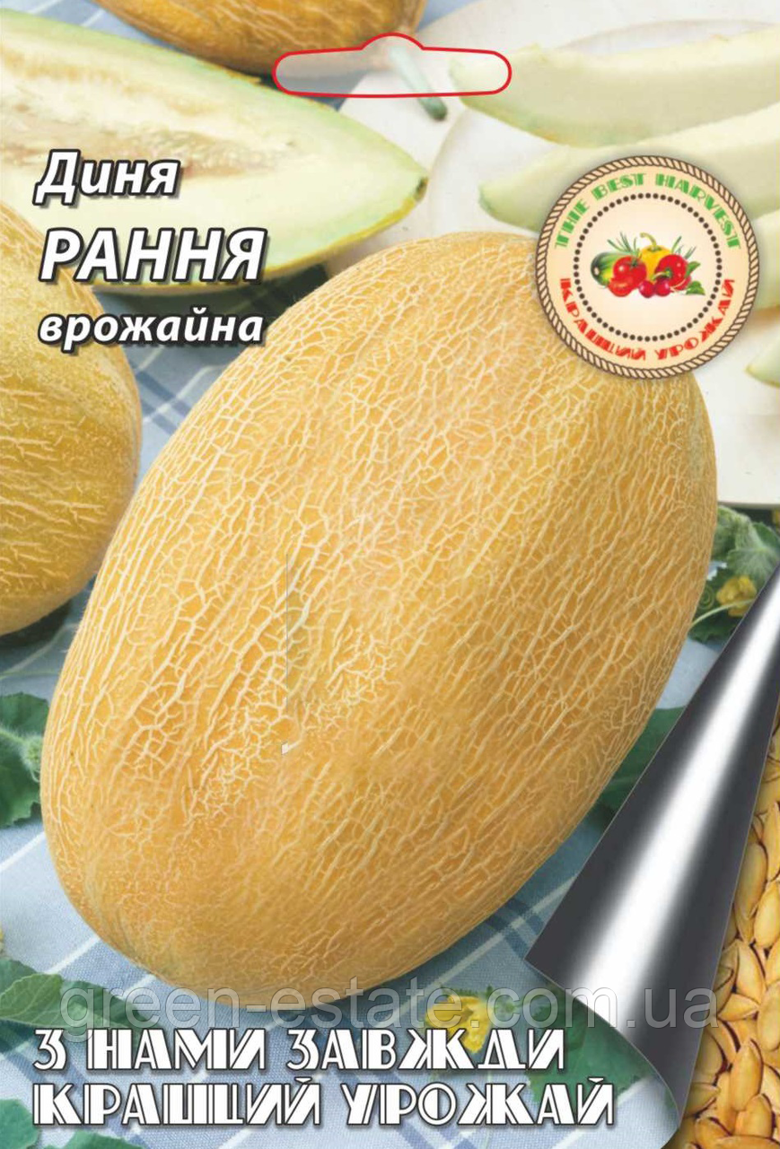 Диня Рання 8 г.