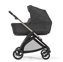 Коляска 4в1 Inglesina Electa з автокріслом Darwin Infant Recline 2024, фото 4