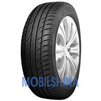 Літні шини General Tire BG Luxo Plus (215/55R16 93H)