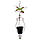 Декоративне кашпо Engard "Райська пташка" BF-21 56 см підвісний горщик для квітів - підвісне кашпо, фото 2