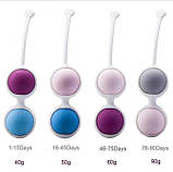 Вагінальні кульки SweetBalls 4in1, фото 7