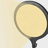 LED-лампа кругла ZL-QP260 - 26см., на штативі 210 см, 20 Вт. - для фото та відео, фото 2