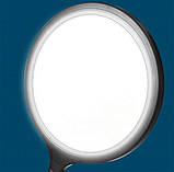 LED-лампа кругла ZL-QP260 - 26см., на штативі 210 см, 20 Вт. - для фото та відео, фото 4