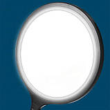 LED-лампа кругла ZL-QP260 - 26см., на штативі 210 см, 20 Вт. - для фото та відео, фото 5