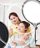 LED-лампа кругла ZL-QP260 - 26см., на штативі 210 см, 20 Вт. - для фото та відео, фото 9