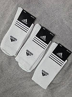 Носки Adidas белые ( 12 пар )