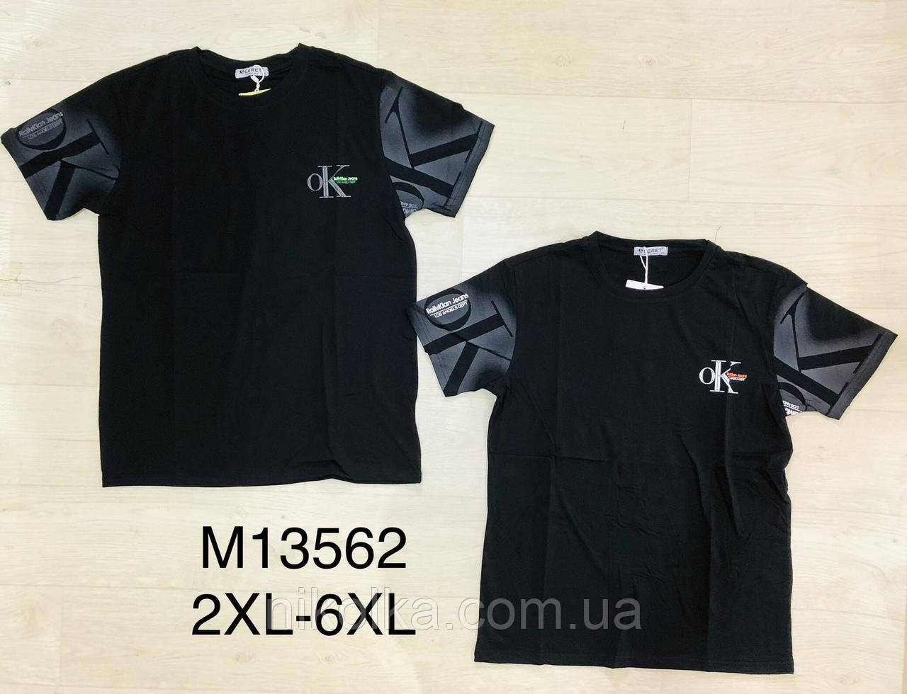 Футболки чоловічі оптом, 2XL-6XL рр., арт. М-13562, фото 1