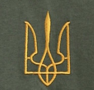 Патріотичні футболки з Українською символікою, Мужская футболка с вышитым гербом, Чоловічі футболки Батал