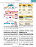 Основи патології за Роббінсом і Кумаром: 11-е видання / Віней Кумар, Абул К. Аббас, Джон К. Астер та ін., фото 4