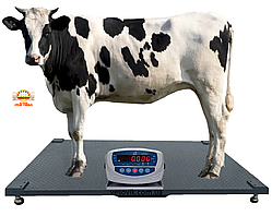 Ваги для ВРХ 1х2м 600кг без огорожі, зважування корів, бичків (зі стабілізацією ваги)