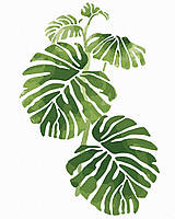 Картина по номерам монстера 40х50 Рисование по цифрам Картины по номерам растения Brushme GT61069