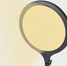 Кругла кільцева LED-лампа ZL-QP350 - 35 см., на штативі 210 см, 35 Вт. - для фото та відео, фото 3