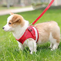 Шлейка для домашних животных, жилет, поводок для собак красный - XL