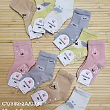 Шкарпетки дитячі трикотажні бавовна ( хлопок) 
Розмір :
0-1 і 1-2  
роки Фірма Корона, фото 2