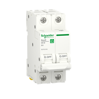 Автоматический выключатель 2P 6A B 6kA Schneider Electric Resi9 R9F02206