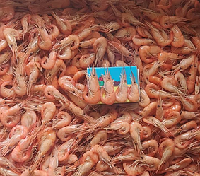 Креветки чорноморські, мікс солодкі 2-3 см, 1кг