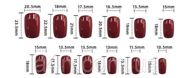 Накладные ногти - Интернет-магазин A4N Размеры накладных ногтей