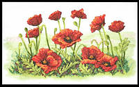 03237 "Поле маків" набір для вишивання DIMENSIONS