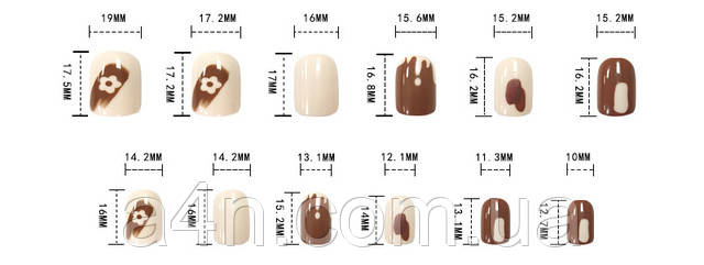 Размеры накладных ногтей
