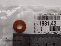 Уплотнительное кольцо форсунки (шайба) Citroen Jumper II, 9401981439, 198143