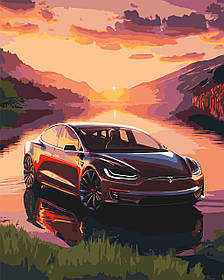 Картина за номерами Авто Тесла 40*50 см Орігамі LW 3323