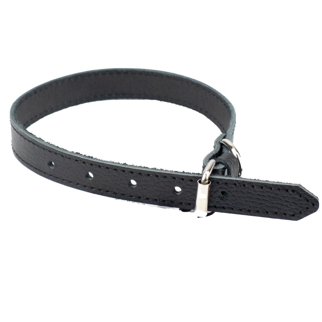 Нашийник з натуральної ремінної шкіри для собак Agility 20006-1 20 мм х 350-450 мм, чорний, 317039, фото 1