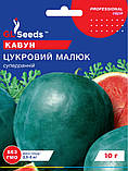 Кавун Цукровий малюк насіння (10 г) суперранній, Professional, TM GL Seeds, фото 3