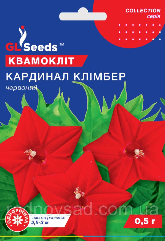 Квамокліт Кардінал Клімбер насіння (0,5 г) червона іпомея (Ipomoea quamoclit), Collection TM GL Seeds, фото 1