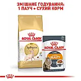 Сухий корм для дорослих котів породи Сфінкс Royal Canin Sphynx Adult 10 кг, фото 2