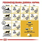 Сухий корм для дорослих котів породи Сфінкс Royal Canin Sphynx Adult 10 кг, фото 6