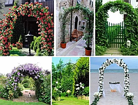 Садова арка металева 240х140 см для декорації, опора для в'юнких рослин троянди, клематис, винограду