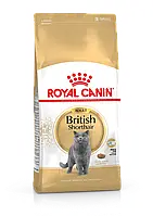 Сухий корм для дорослих Британських короткошерстих котів Royal Canin British Shorthair Adult 4 кг