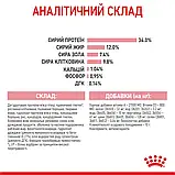 Сухий корм для кошенят після стерилізації Royal Canin Kitten Sterilised 2 кг, фото 3