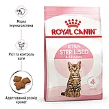 Сухий корм для кошенят після стерилізації Royal Canin Kitten Sterilised 2 кг, фото 2