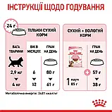 Сухий корм для кошенят після стерилізації Royal Canin Kitten Sterilised 2 кг, фото 4