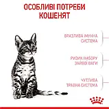 Сухий корм для кошенят після стерилізації Royal Canin Kitten Sterilised 2 кг, фото 9