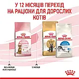 Сухий корм для кошенят після стерилізації Royal Canin Kitten Sterilised 2 кг, фото 5