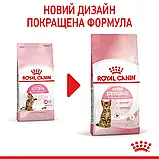 Сухий корм для кошенят після стерилізації Royal Canin Kitten Sterilised 2 кг, фото 6