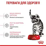 Сухий корм для кошенят після стерилізації Royal Canin Kitten Sterilised 2 кг, фото 8