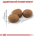 Сухий корм для котів і кішок після стерилізації Royal Canin Sterilised 4 кг, фото 5