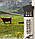 Ancestral Supplements Beef Colostrum / Колострум молозиво 30 саше, фото 7