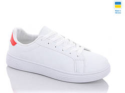 Кеді чоловічі Swin